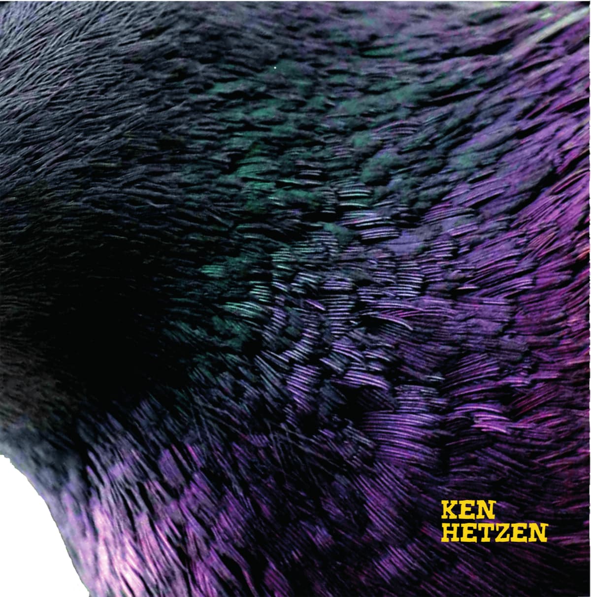 Ken Hetzen