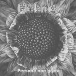 Persona Non Grata