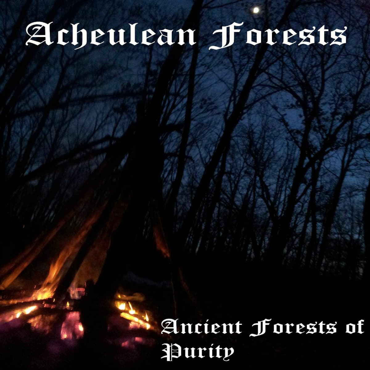 Ancient Forests of Purity