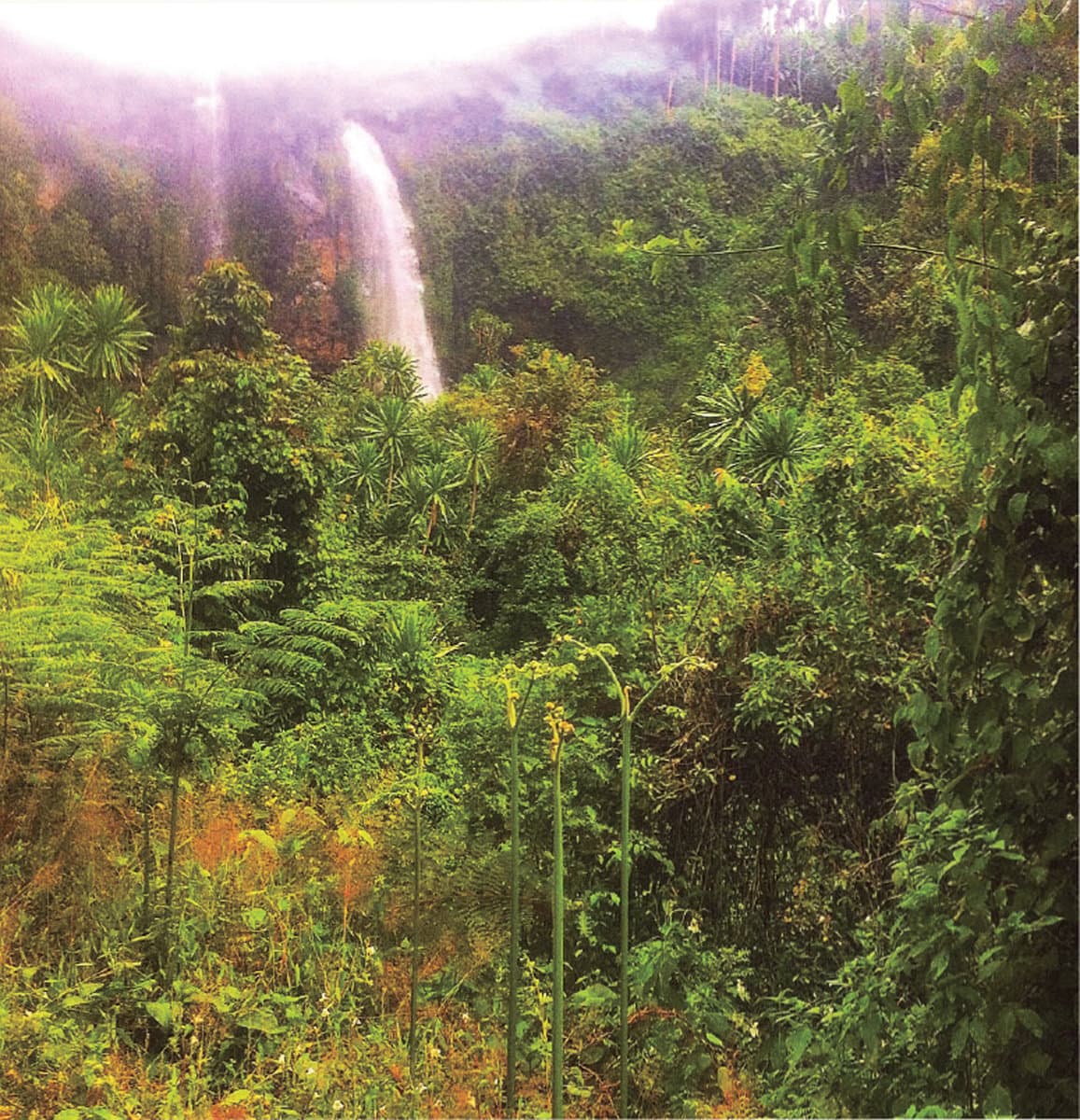 Memorias Vol.1 - Bugandan Sacred Places
