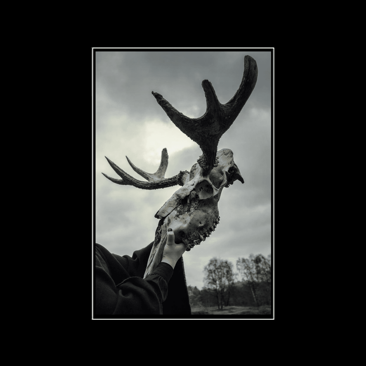 The Forest Tapes