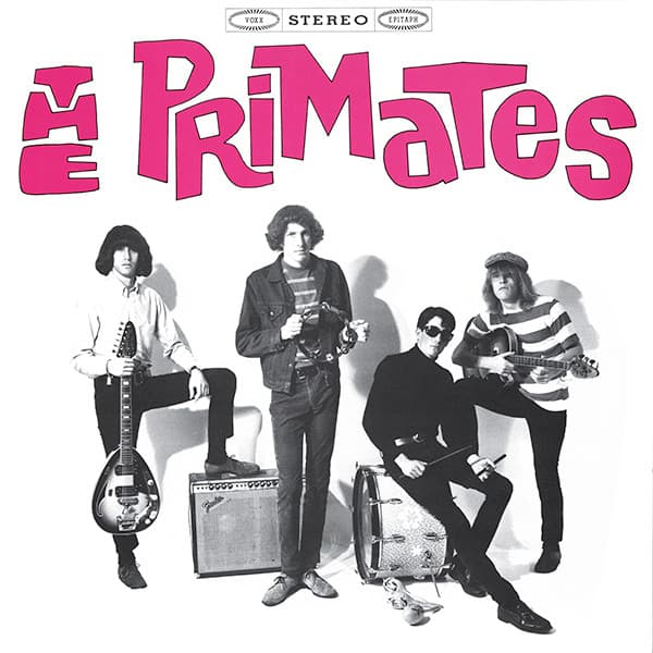 We Are The Primates