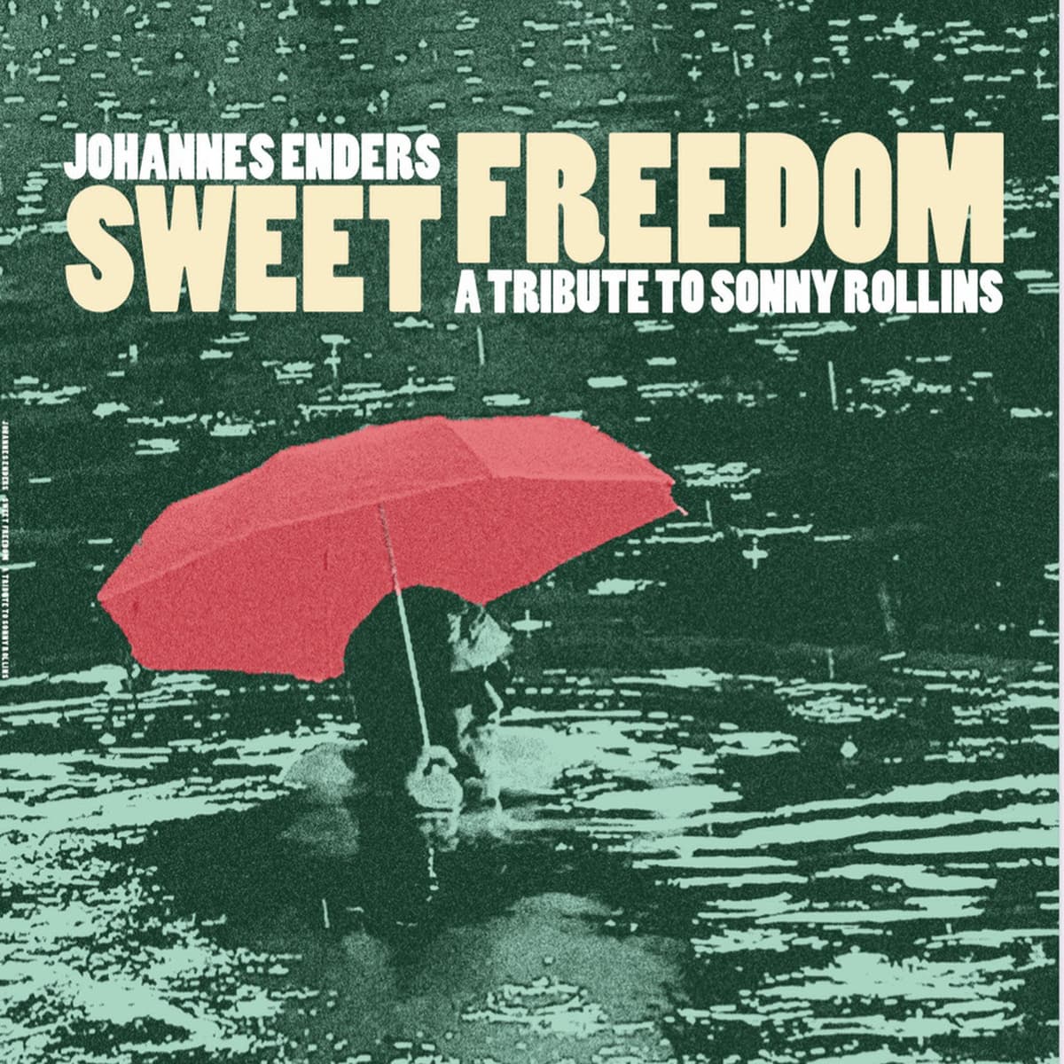 Sweet Freedom