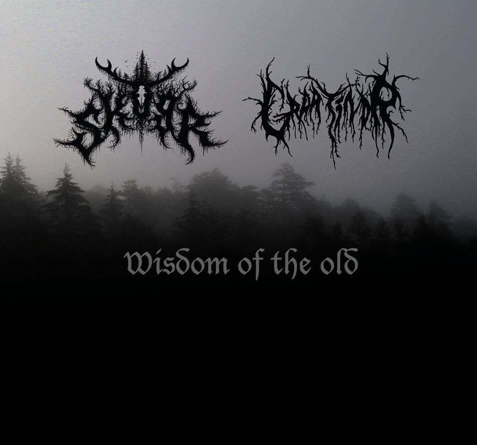 Wisdom of the Old