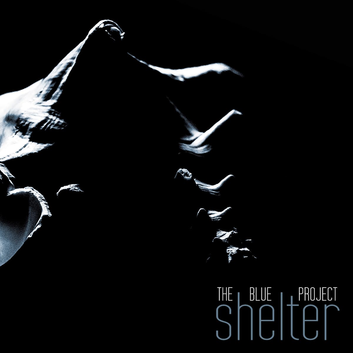 Shelter