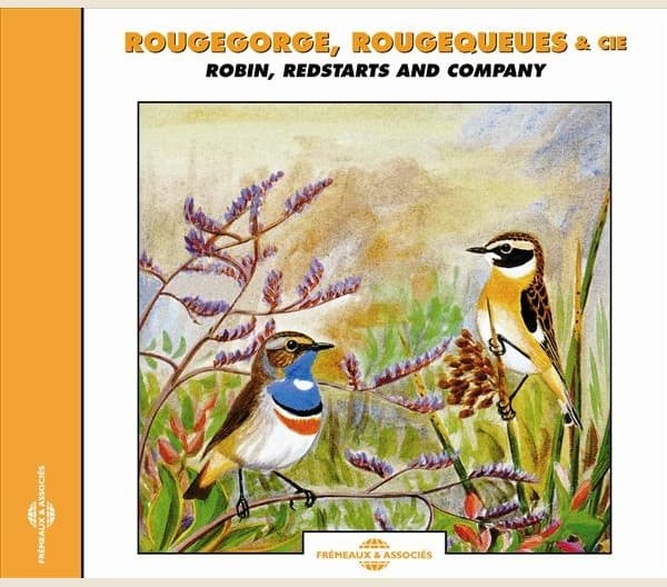 Rougegorge, Rougequeues & cie / Robin, Redstarts and Company