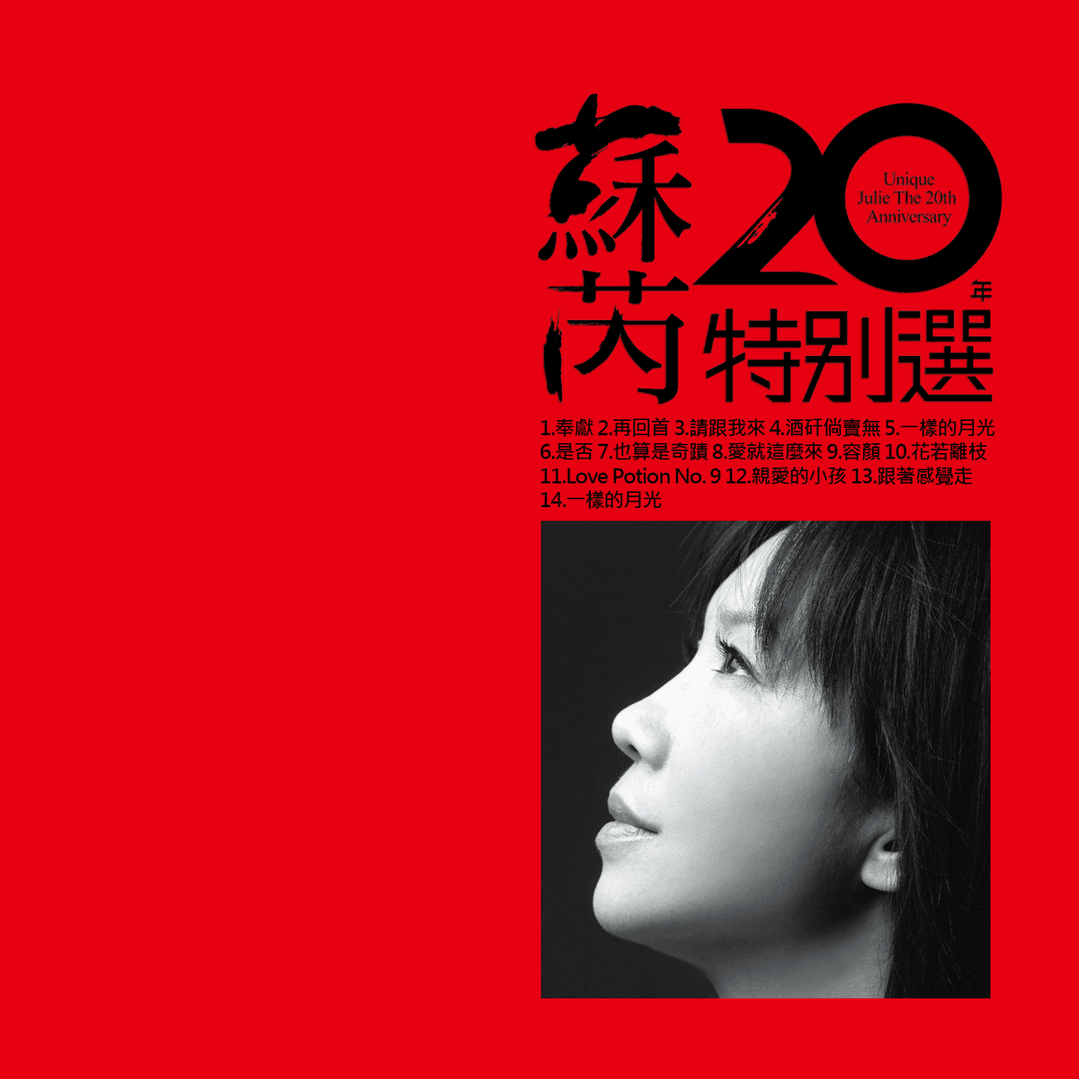 蘇芮20年特別選