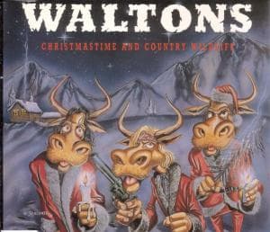 Christmastime and Country Wildlife