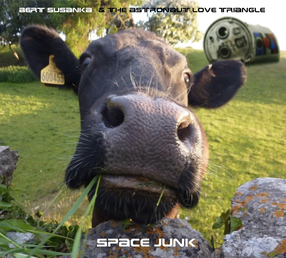 Space Junk