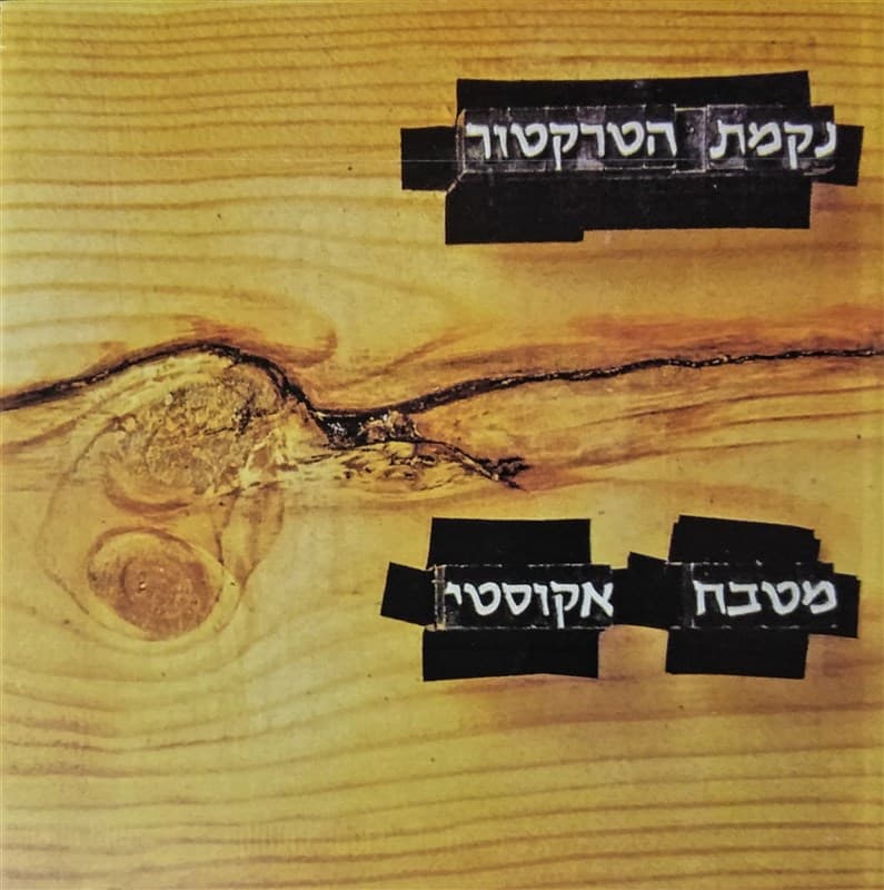 מטבח אקוסטי