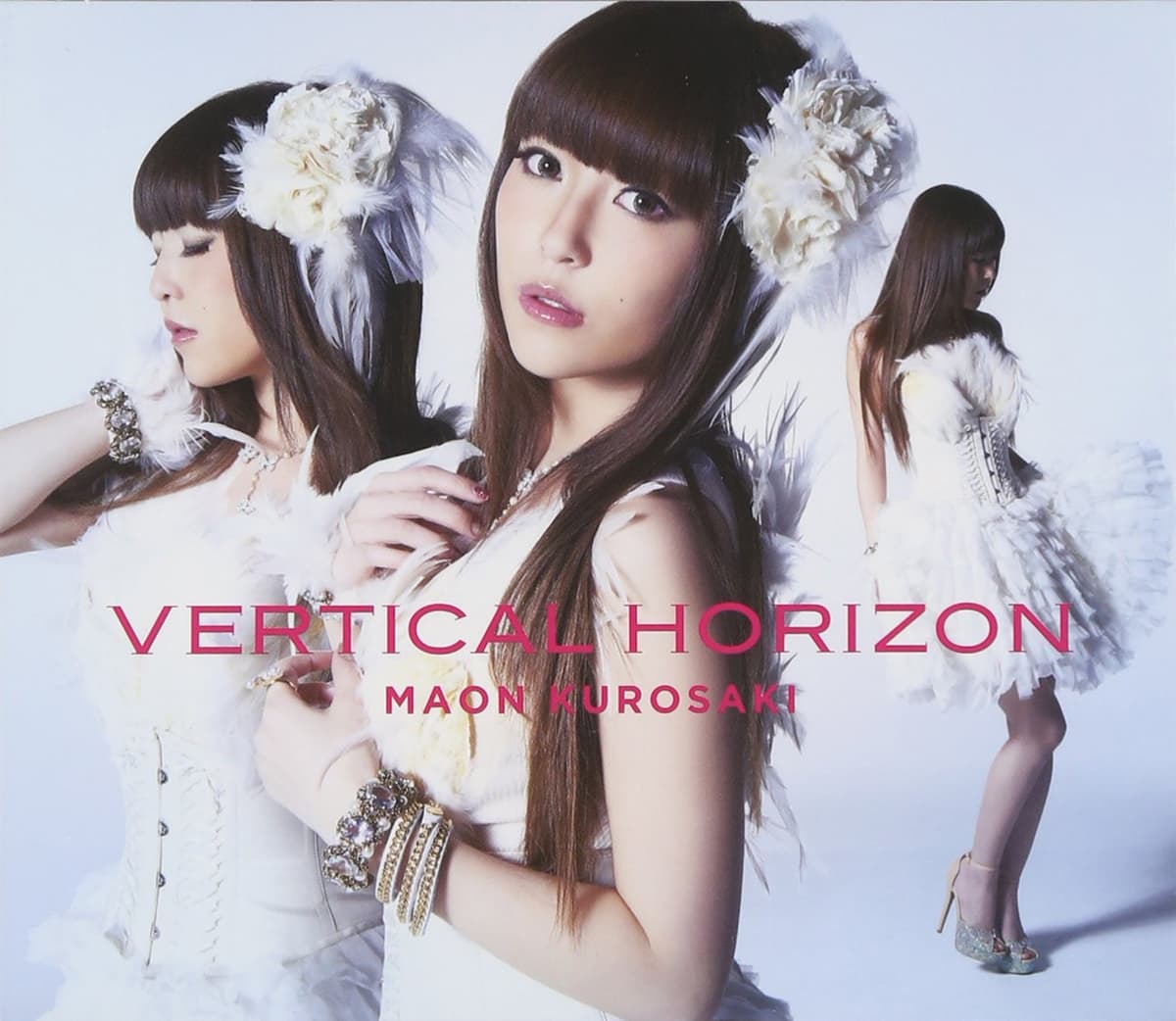 VERTICAL HORIZON