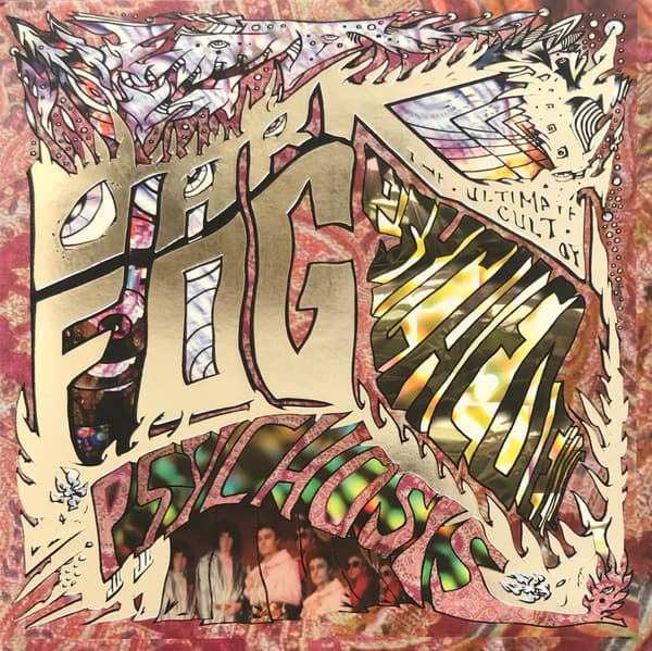 The Ultimate Cult of Psychedelic Psychosis