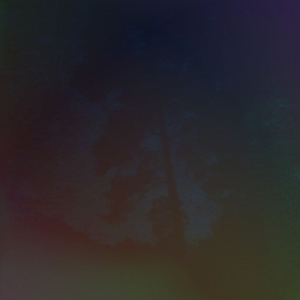 Lowlights