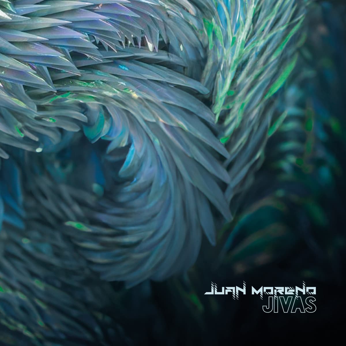 Jivas