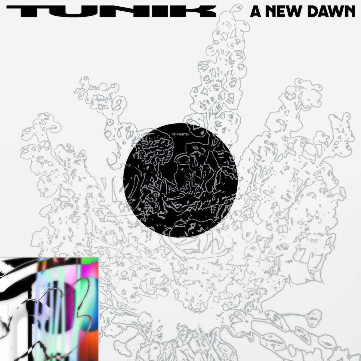 A New Dawn