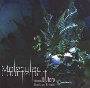 Molecular Counterpart