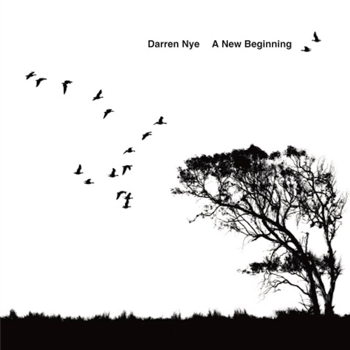 A New Beginning