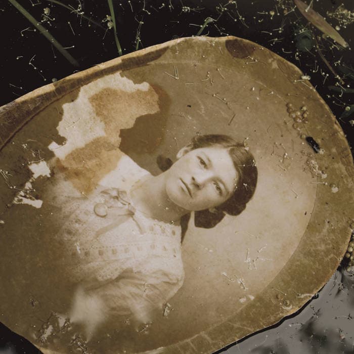 The Myth of Violet Meek