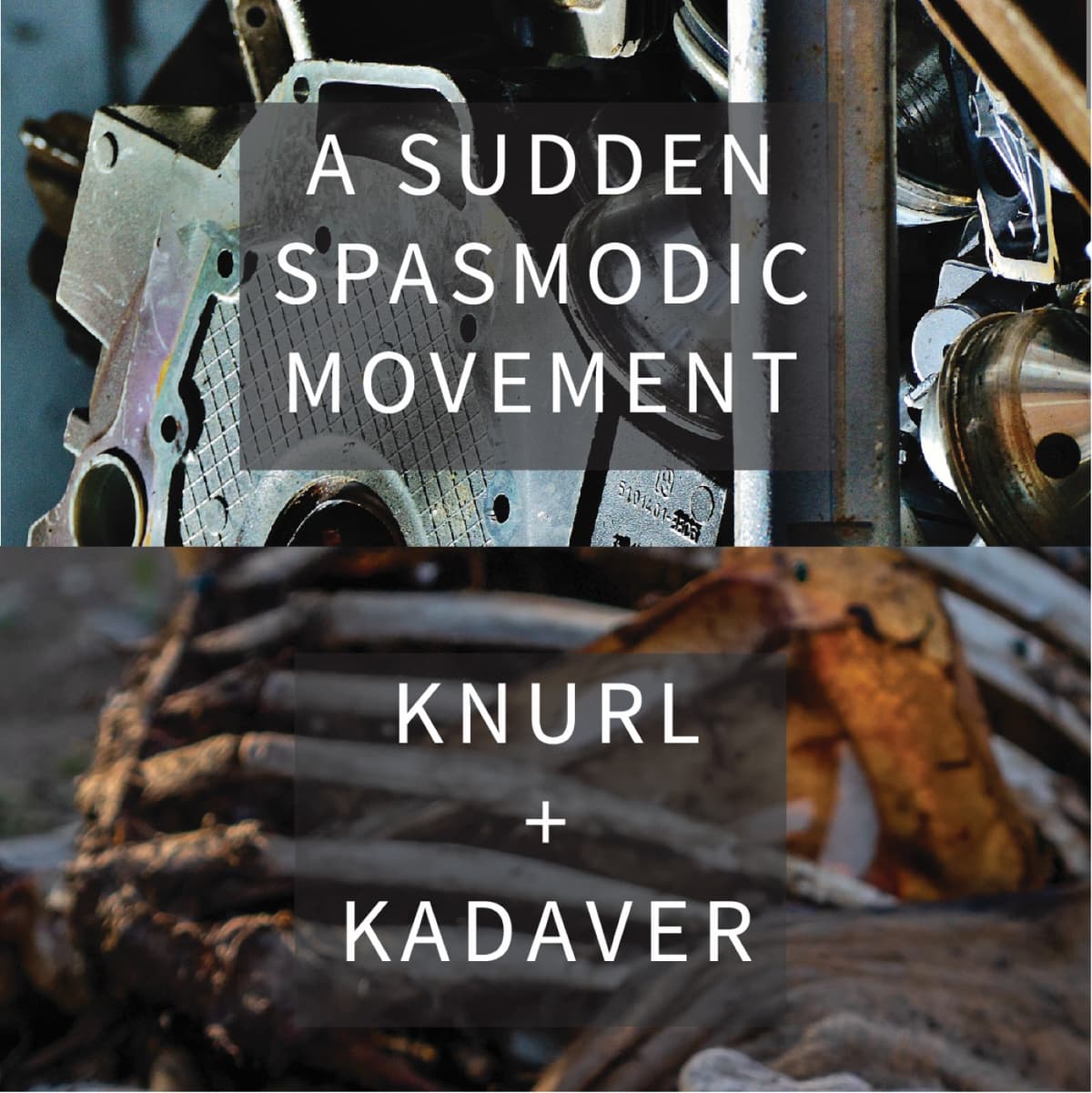 A Sudden Spasmodic Movement