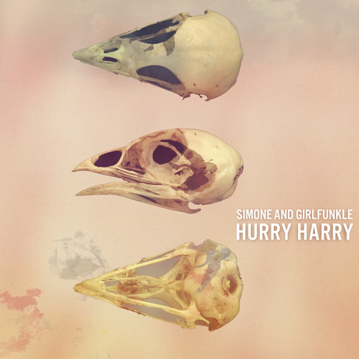 Hurry Harry