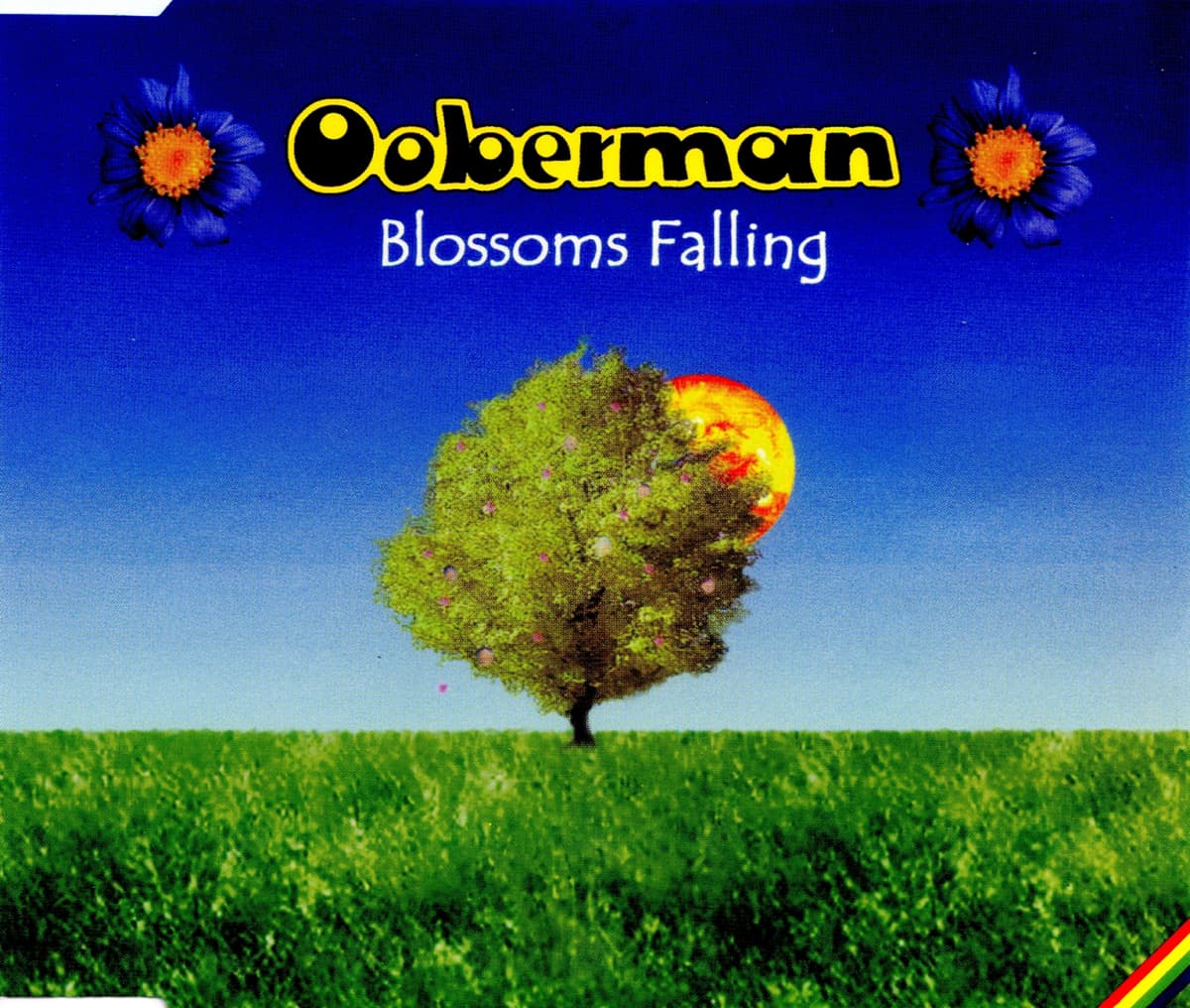 Blossoms Falling