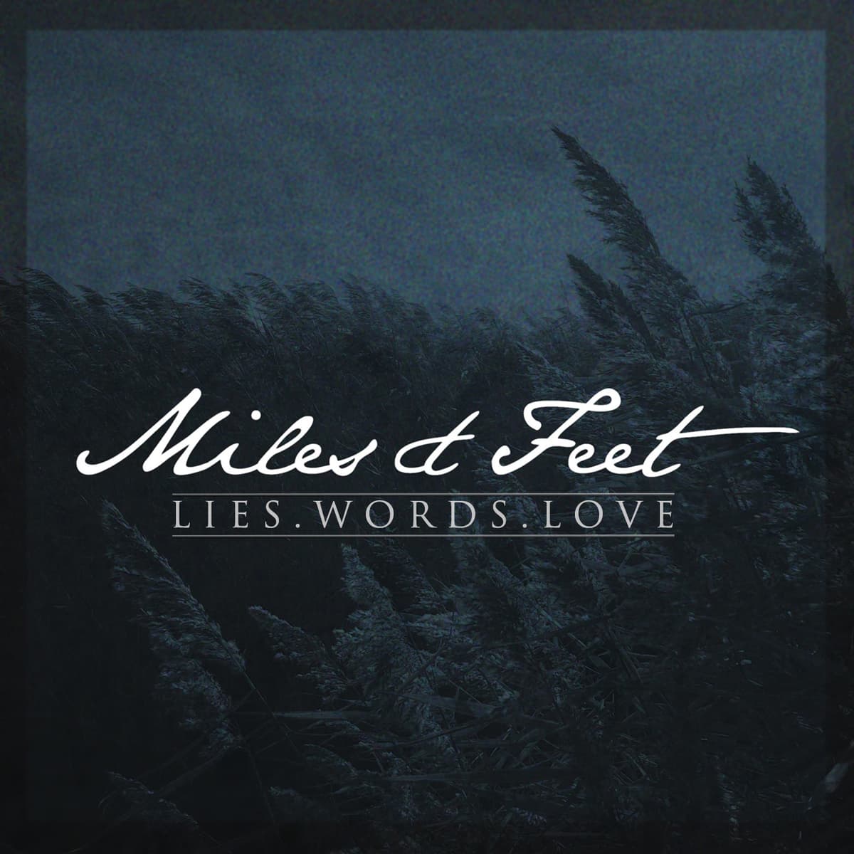 Lies.Words.Love