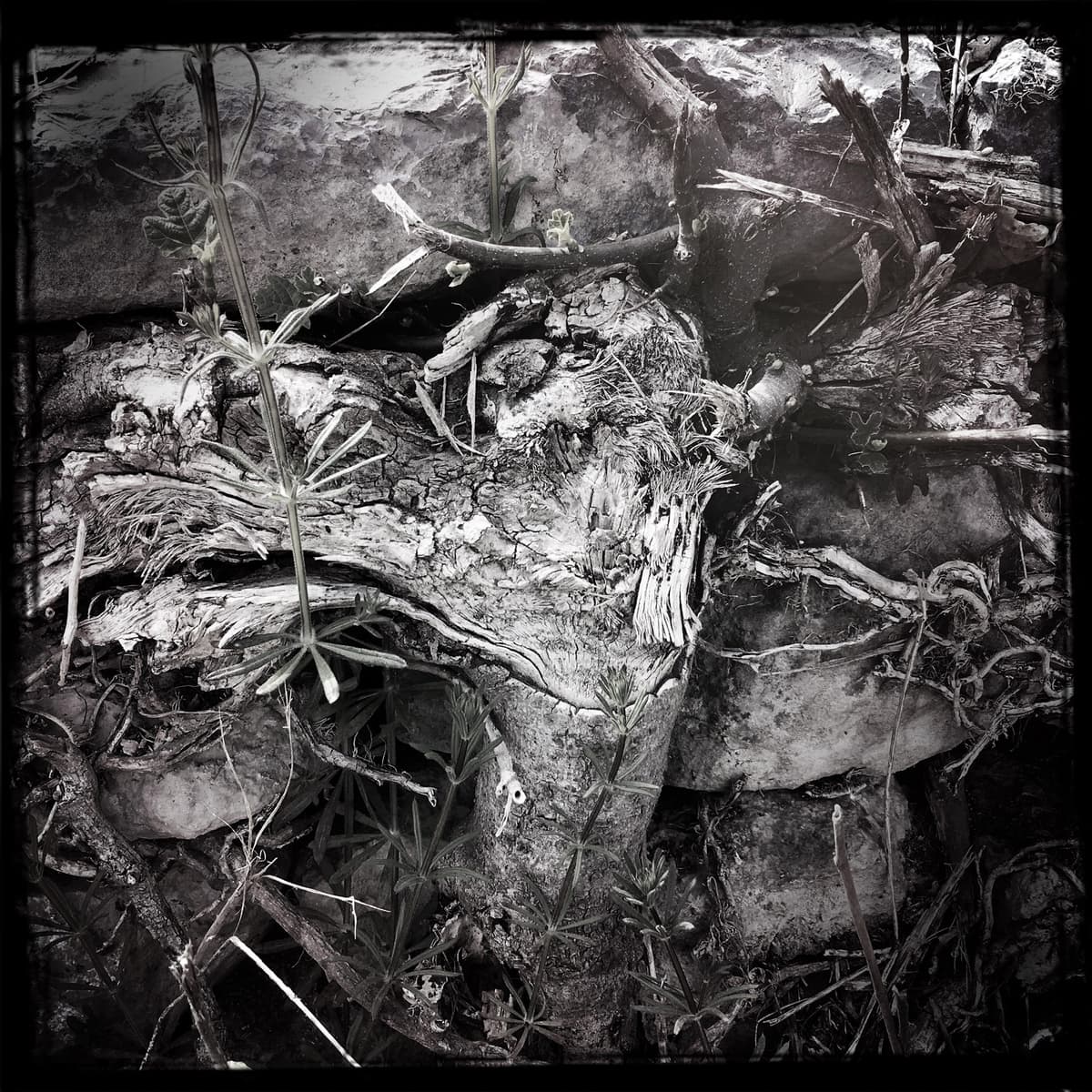 Streams of Consciousness Compiled