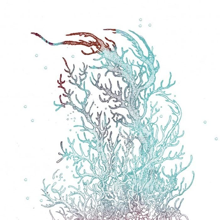Interrupted Forms