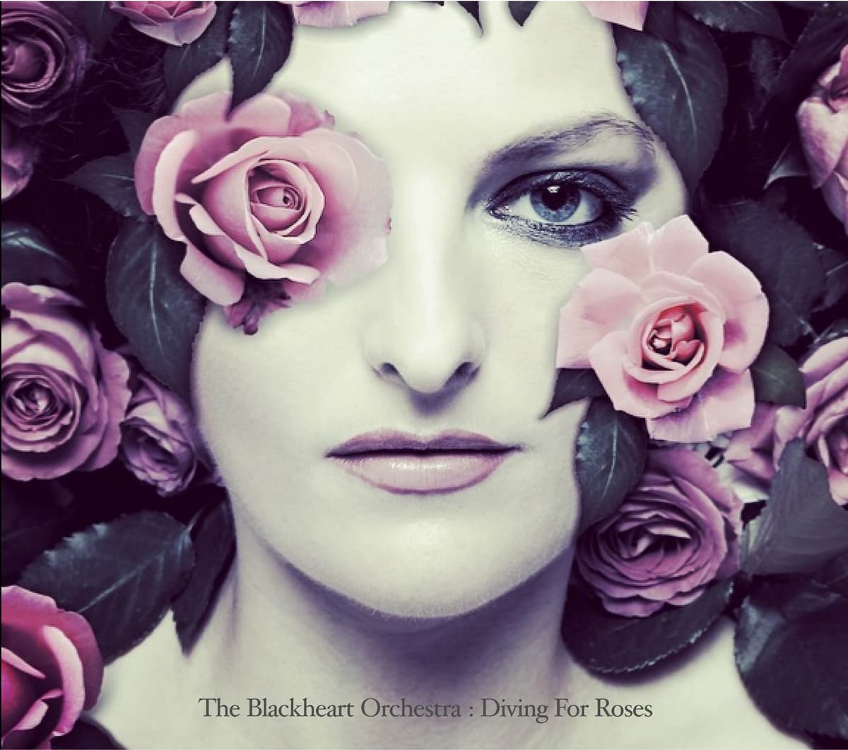 Diving for Roses