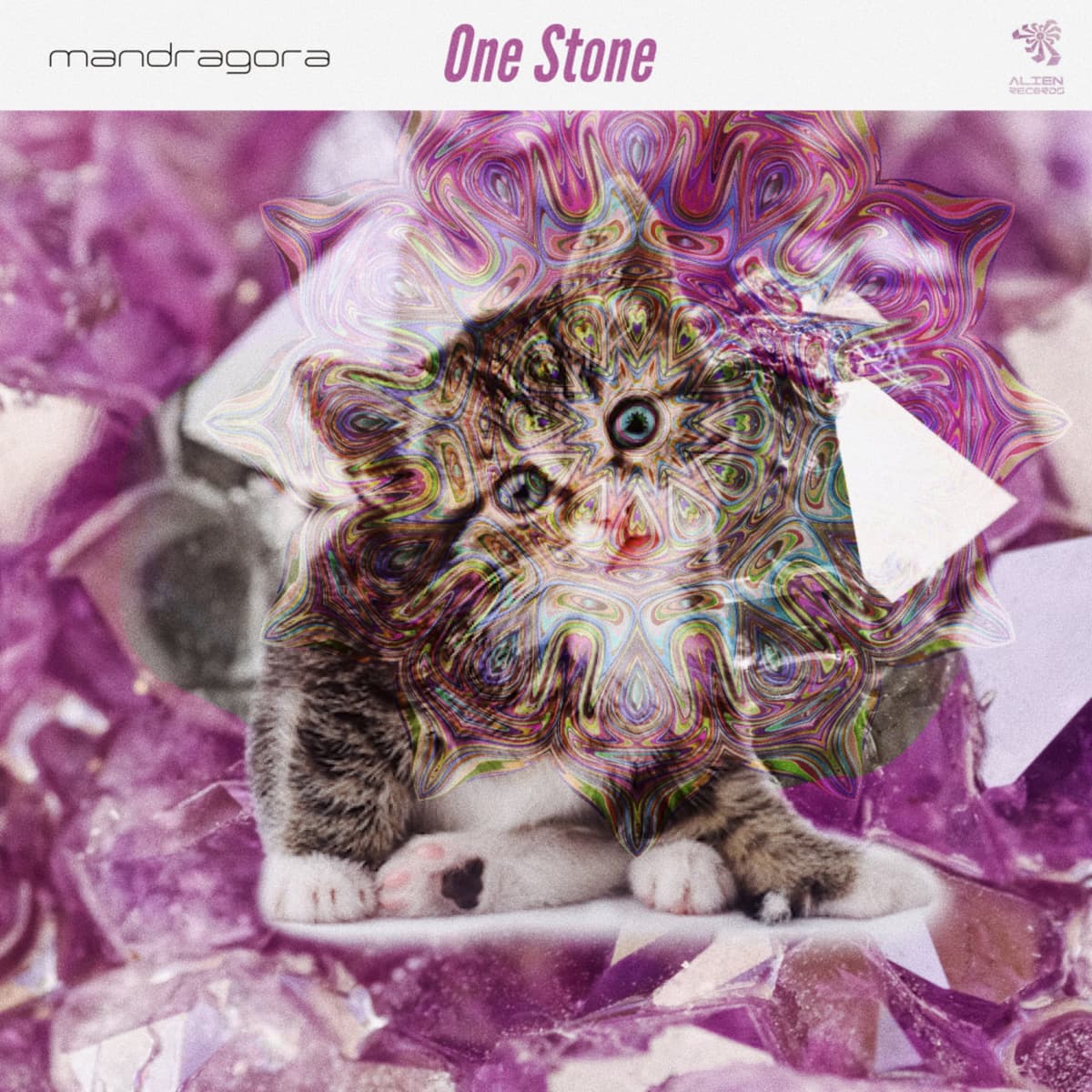 One stone