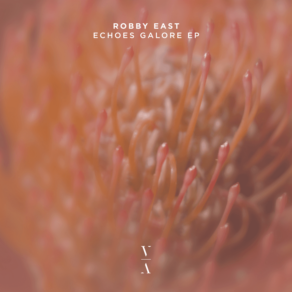 Echoes Galore EP