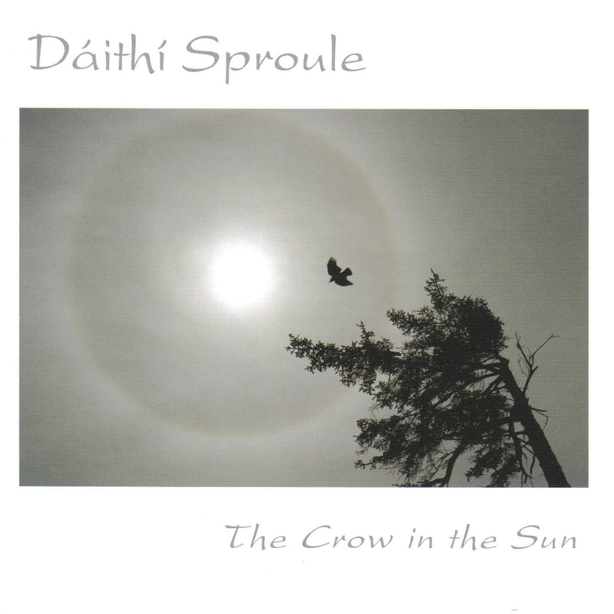 The Crow in the Sun