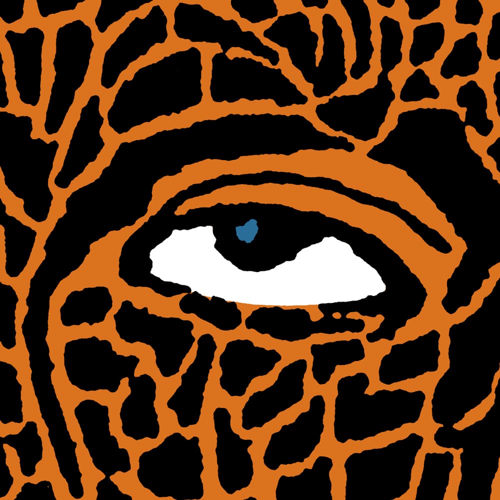 Ludus