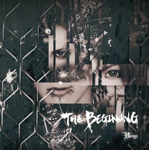 THE BEGINNING