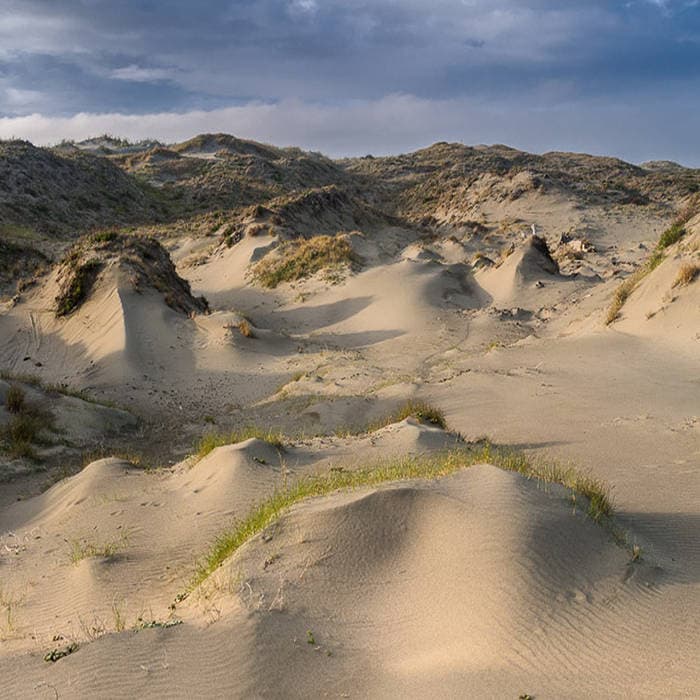 Dune Worship
