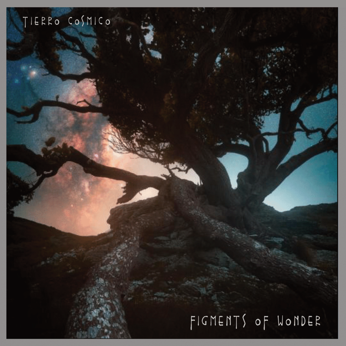 Figments of Wonder