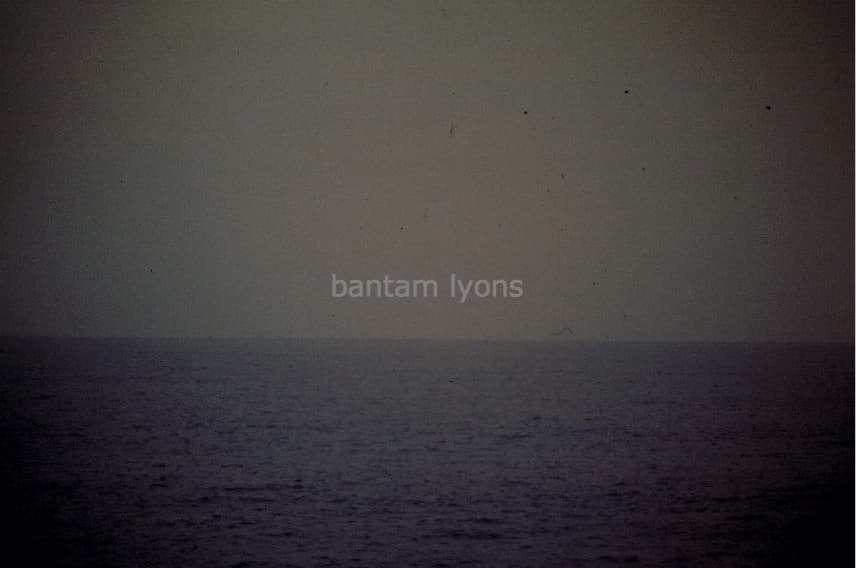 Bantam Lyons