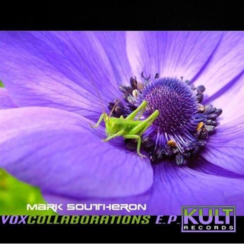Vox Collaborations E.P.