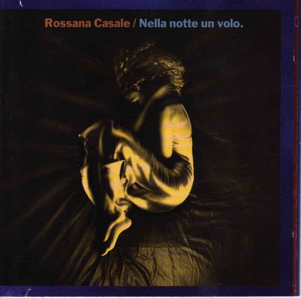 Nella notte un volo