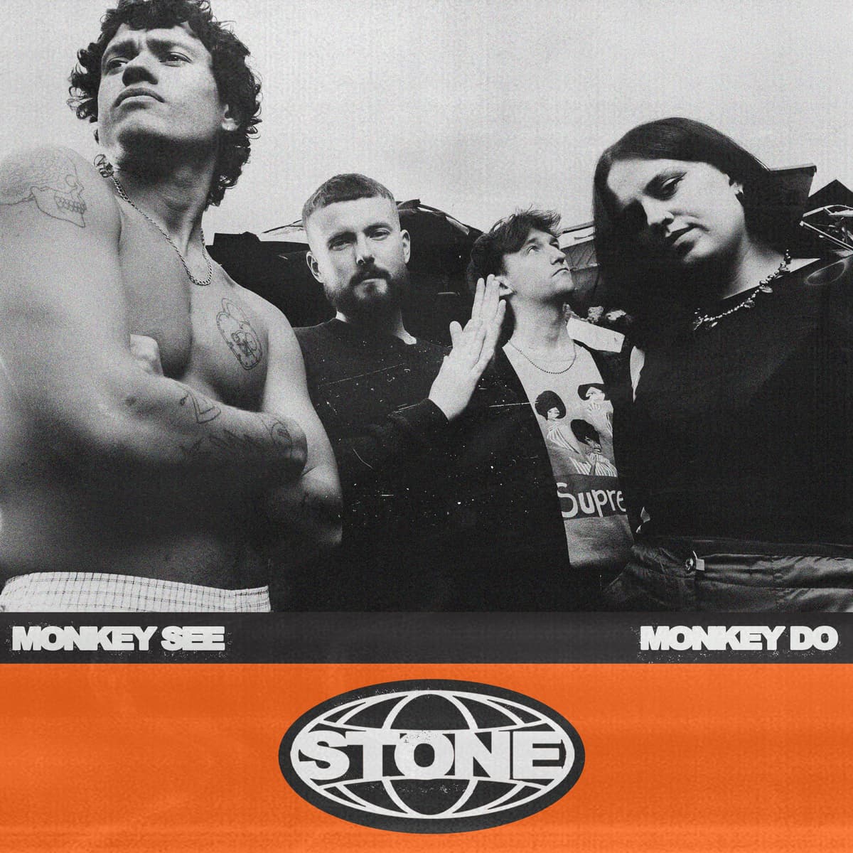 MONKEY SEE MONKEY DO