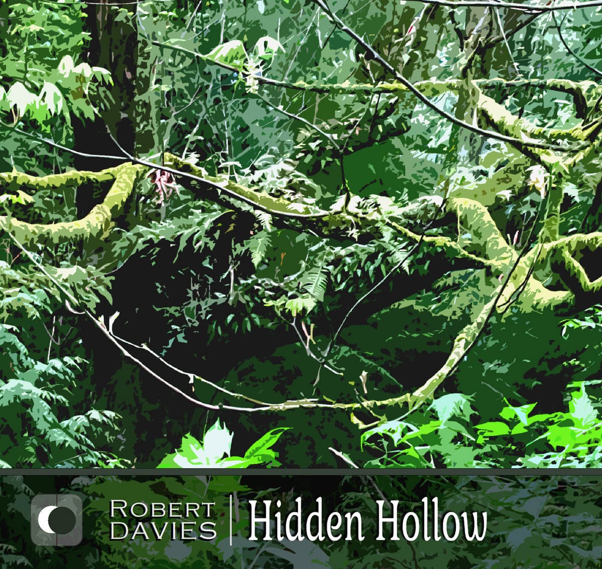 Hidden Hollow