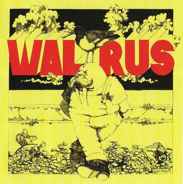 Walrus