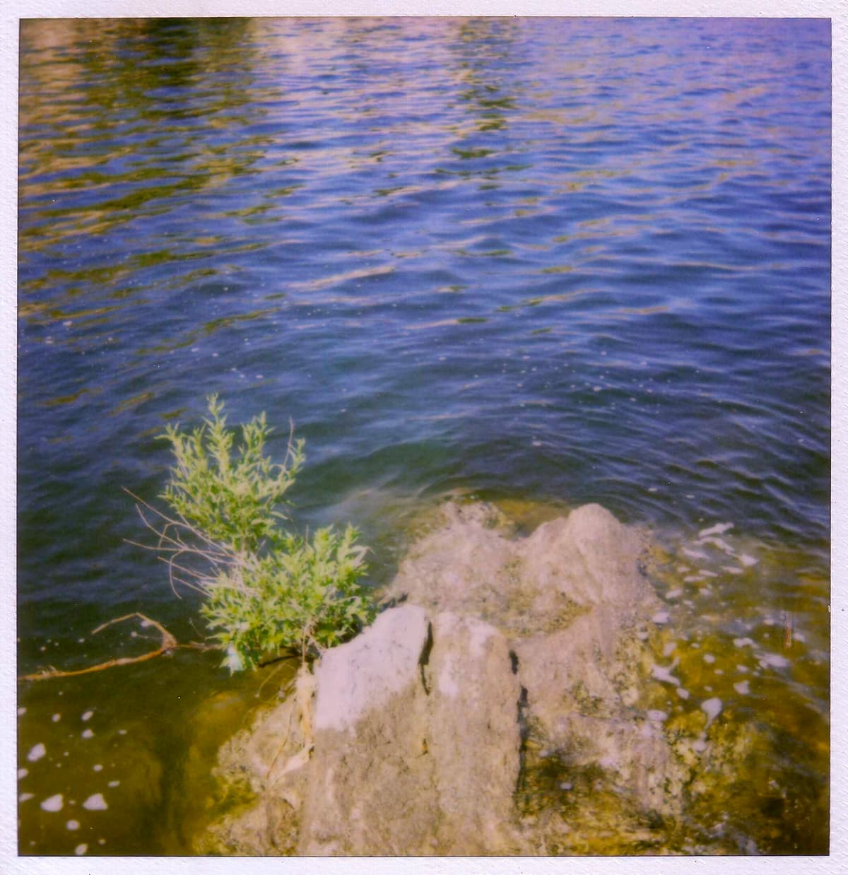 Learn From Water