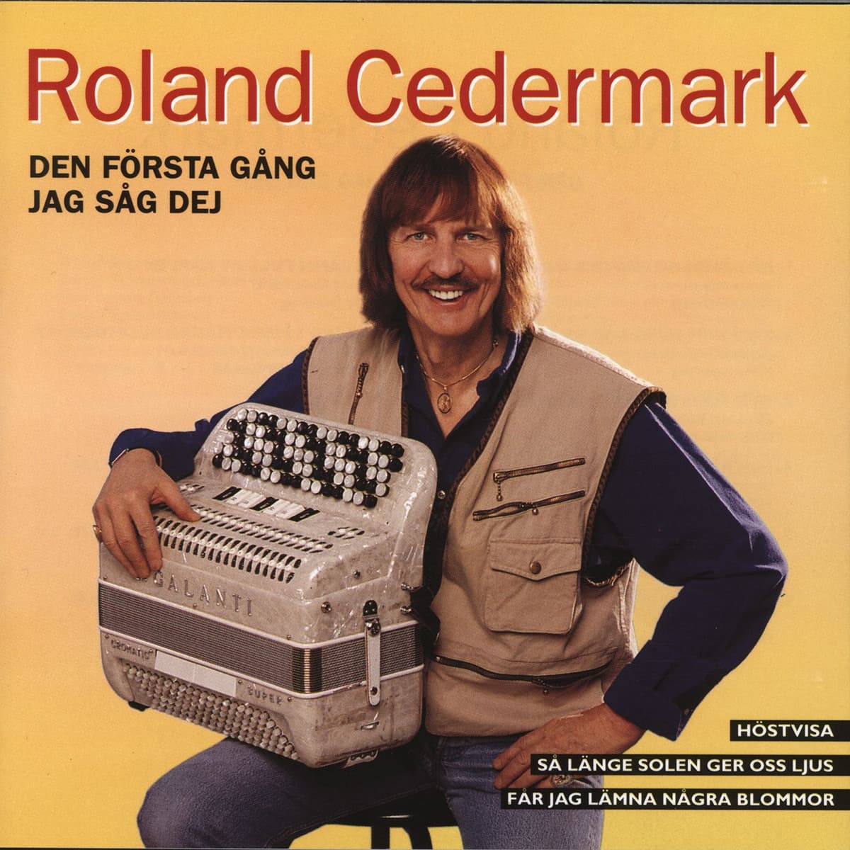 Den första gång jag såg dej