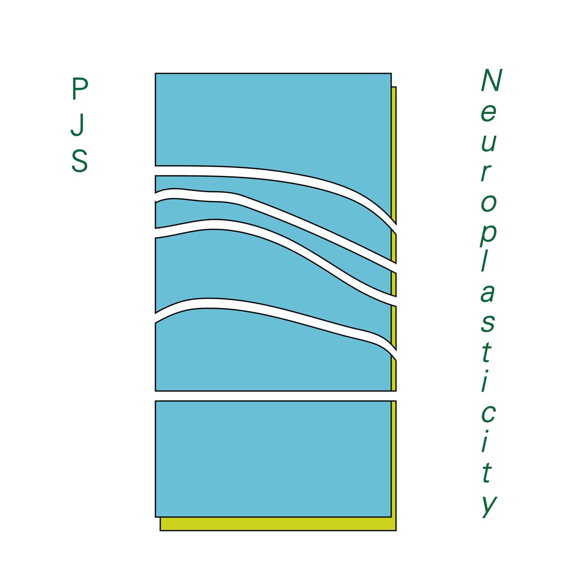 Neuroplasticity