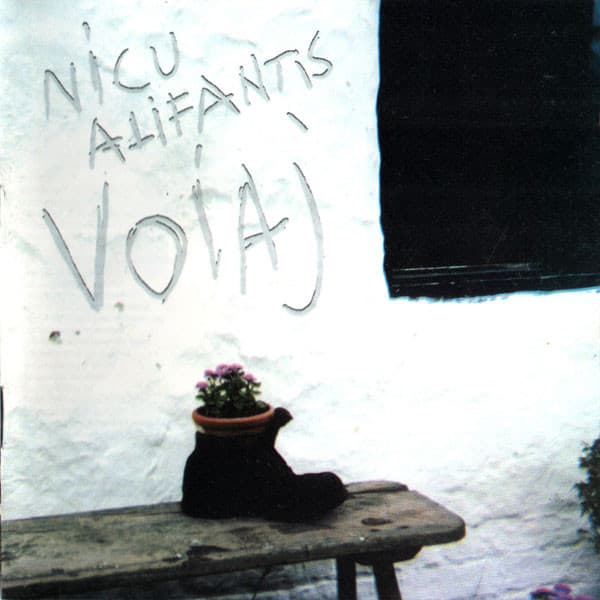 Voiaj
