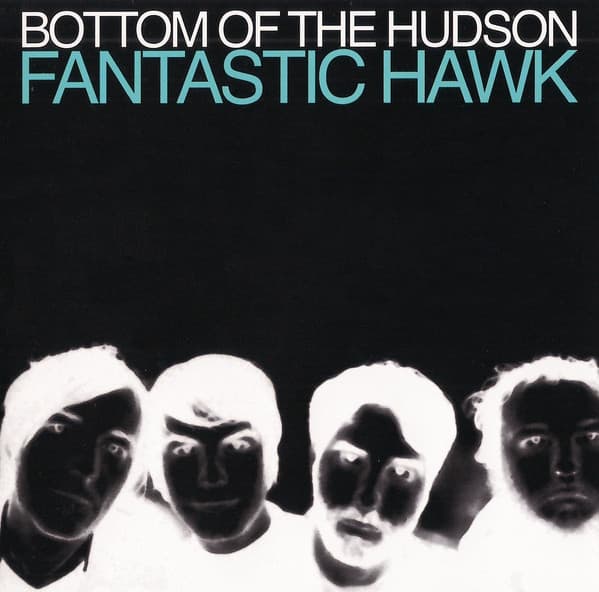 Fantastic Hawk