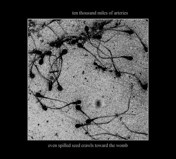 Even Spilled Seed Crawls Toward The Womb