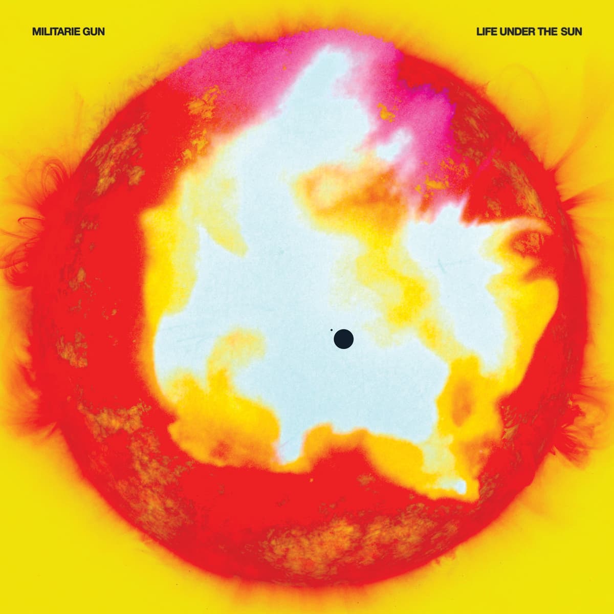 Life Under the Sun