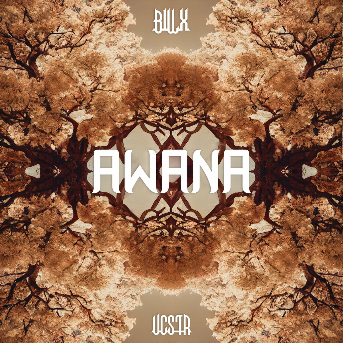 Awana